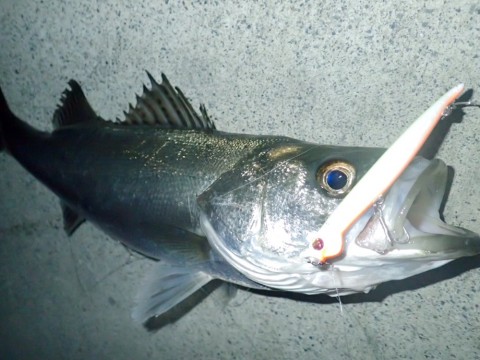bm6ref9fxh3fbavi4itd_920_690-57a8e218.jpg