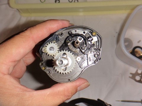 bmkmnweojsf69d84fxwb_480_480-e937fff6.jpg