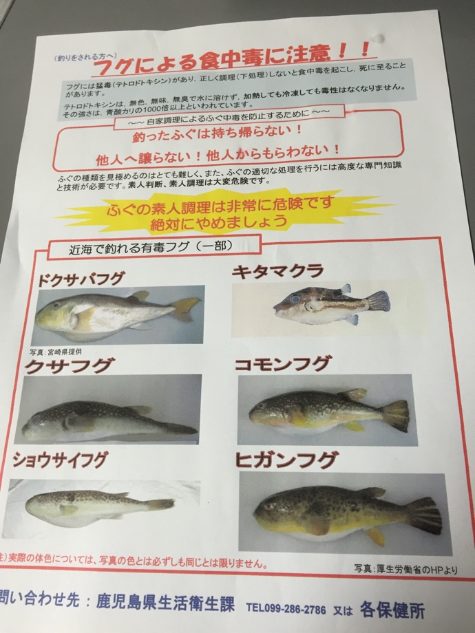 大隅釣り走り それいけ 太郎丸 シロサバフグ 毒なし に激似のドクサバフグ 猛毒 に注意