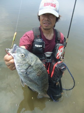 bmwvnhouirivz4iwaofc-c5748111.jpg