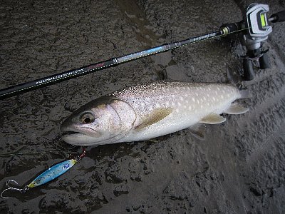 bn94sfxbshyjx9jxpzjv-65fd5e12.jpg