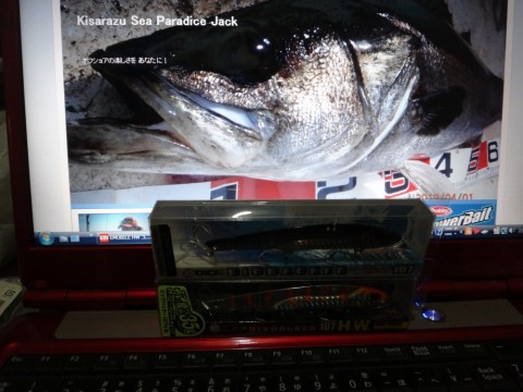 bnbcfo3g5pspfpwczs8h_480_480-ec94be8f.jpg