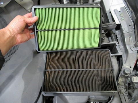 bnt5ngfjct65kp7c53n2_480_480-5dbb6128.jpg