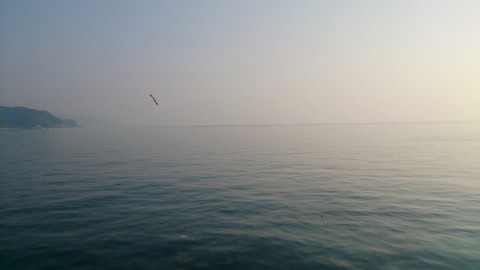 bnts3knyosux9b4zzajo_920_517-249ae0fd.jpg