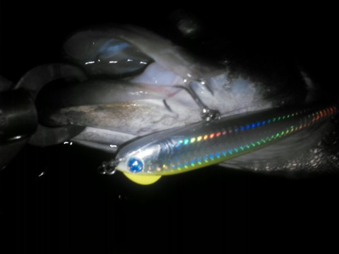 bo37fcnsxhi3dgymnpvk_920_690-0206c7e9.jpg