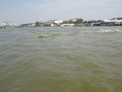 bodSD2R5Hk7HMZHuAVju-53938fbe.jpg