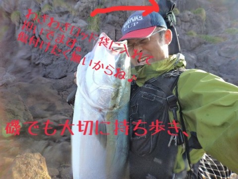 boewrd6adzvtwsery4sk_920_690-d0ee6f43.jpg