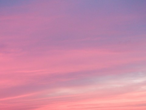 bof2zh2w29ie8du7nu7i_480_480-c957604d.jpg