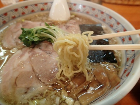 bogkyiph3pxo2t3syhy8_480_480-6a2441c8.jpg