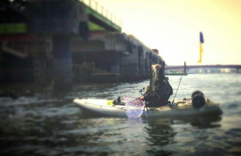 bojfa65vhgab4zzsyukj_800_519-243970fe.jpg