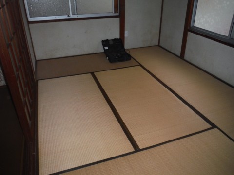 bojp3i64bh5jzki43for_480_480-fb490924.jpg