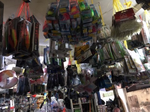 bowt7f53hagx23ov7arx_480_480-bfa6028b.jpg