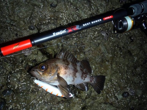 bp2iuotbb3dproc9crgg_920_690-ee027140.jpg