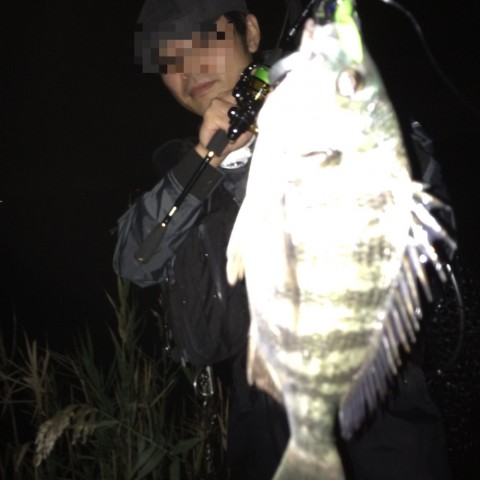 bp33f6ab7b7wux2m4amz_920_920-2b147f02.jpg