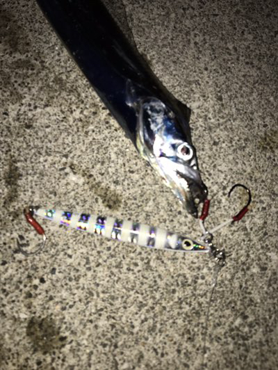 Tokushima Fishing Story ワームを使わなかった理由 Tokushima Fishing Story ワームを使わなかった理由