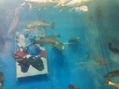 bp567xeupuwhvuufmpwo_920_690-8a414371.jpg
