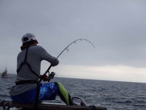 bpjsd6ow3v46kjrjz4yv_920_690-ac7550a7.jpg
