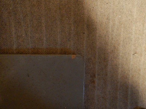 bpv6ki9y8ihtzn3ti2rm_480_480-09d61ea2.jpg