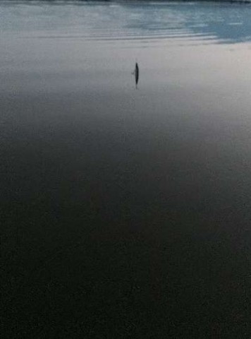 bpx23sdvksrmwukpjtcc_480_480-7d55e6fb.jpg