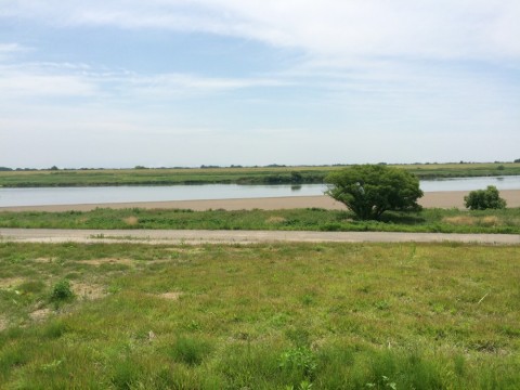 brgdg52n8m3otfktrjrt_480_480-7f6137ab.jpg