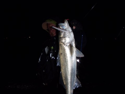brixx3s22jm29pfrm2aa_480_361-8e37f95e.jpg