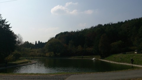 brmrusnoxsavrfgt86od_480_480-4b4e4877.jpg