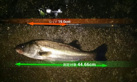 brnodm5fdujnomoconah_920_554-5d0618d1.jpg