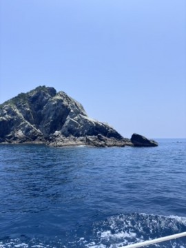 brnta3kf9x6mzjvab22n_360_480-31763730.jpg