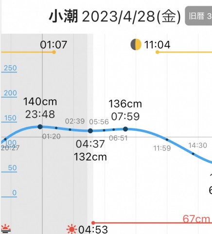brpetv4pneuftvgavxun_480_480-0a857d26.jpg
