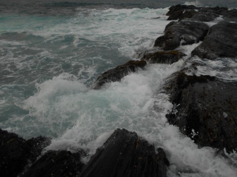 brsv9t3t5nxibbfffedw_480_480-362829fe.jpg