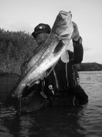 bsa7c3wxncsdgxjcoz2h-df5f0067.jpg