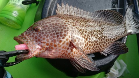 bsa9pzekte3gyk3htvmz_920_518-72e23442.jpg