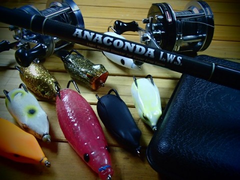 bscn2vacrctbazwb9ux9_480_480-c891ecf5.jpg