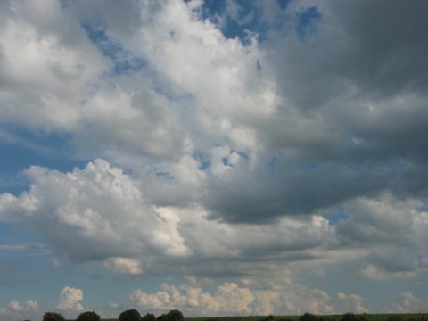 bsgw52j96xugu596pe6t_480_480-c791d135.jpg