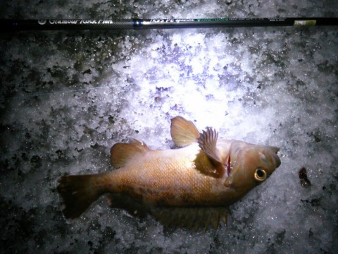 bsrokkzwph9ojgwwci6f_920_690-ca0c539d.jpg