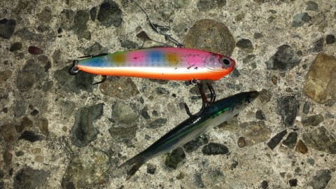 bt34oz6bn8kvbf8hioiu_920_518-bf40ca32.jpg