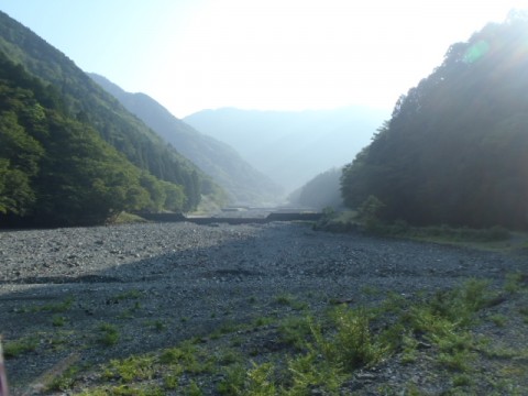 bt5bz25sfd8ziohjvsrg_480_480-a10980c5.jpg