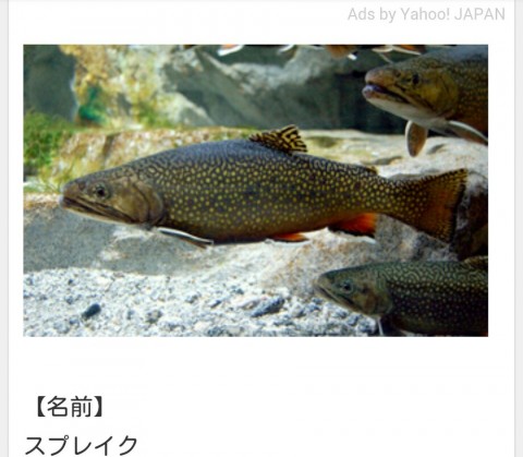 btc8te2tz48bn2vjxf4m_920_803-4269e0f9.jpg
