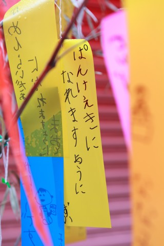 btki7295h59foxmf4bur_480_480-9d92b9d5.jpg