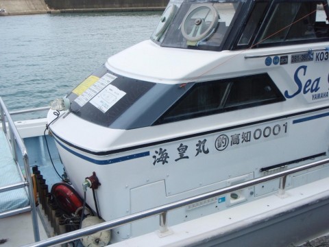 bu3kzw6osddjfbkm9yhv_480_480-adf01269.jpg