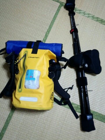 bucewco35b4bujfnavwn_600_795-ee62dc14.jpg