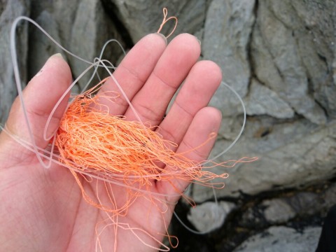 bukimo65hiy9asatsxnz_920_690-8a661828.jpg