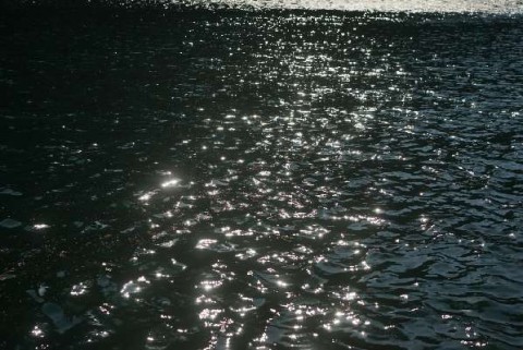 bukv7dvzfrhm8oo7znxn_480_480-bb61a552.jpg
