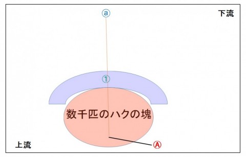 busvx48n7i22o4jx794v_480_480-b57181ae.jpg