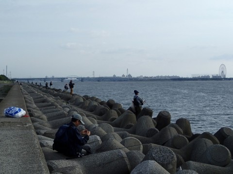 butxadavy28eytgxjp95_480_480-b600e7c2.jpg
