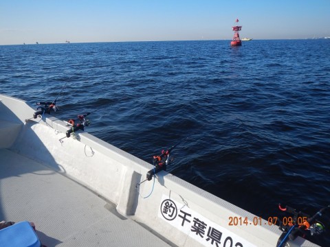 buzyfhp3x65mjngcudp4_480_480-9b2735ba.jpg