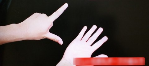 bv6xf5e5rdndv7inj6p7_480_480-81c1f9da.jpg