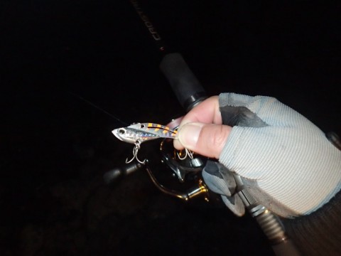bva79goe8mzx3wwbvwps_480_480-4c407177.jpg