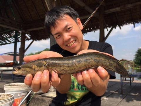 bvbayufyrjgjj5eyf5zj_480_480-d58527d0.jpg