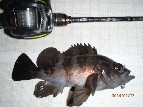 bvmsut62p2njznb85duo_480_480-7390be1f.jpg